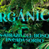 Yerba Mate Pajarito 100% Orgánica: Una Experiencia en Armonía con la Naturaleza